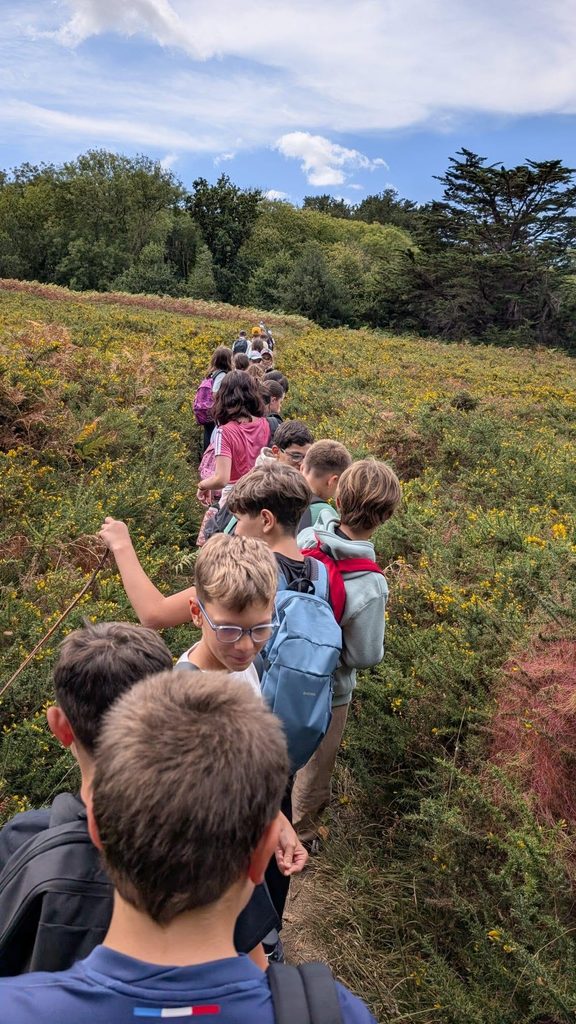 Les élèves de 6e marchent à travers la lande lors de leur balade à la pointe du Millier.